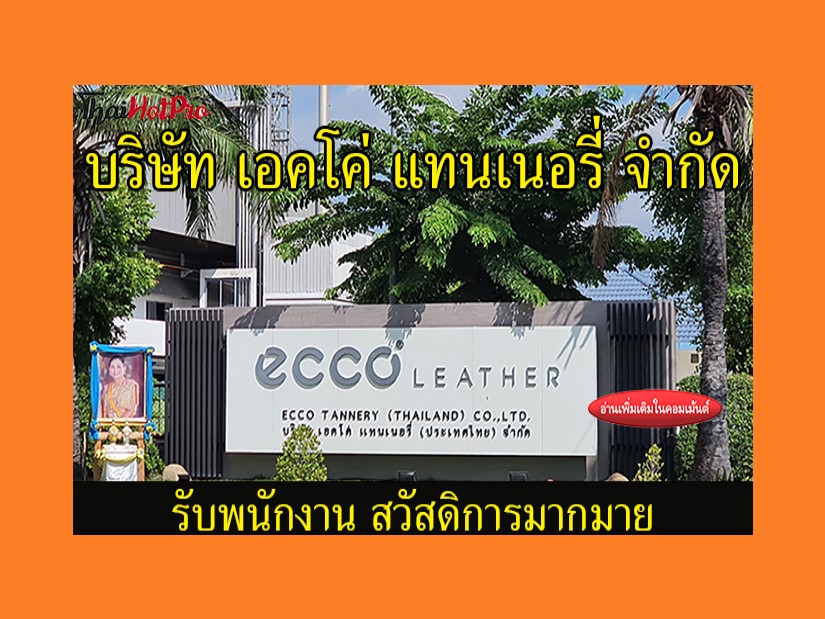 #ข่าวสมัครงาน รับสมัครพนักงานบริษัท เอคโค่ (ป