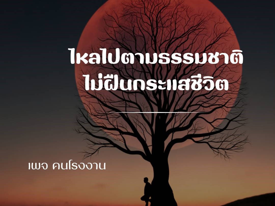 ไหลไปตามธรรมชาติ ไม่ฝืนกระแสชีวิต