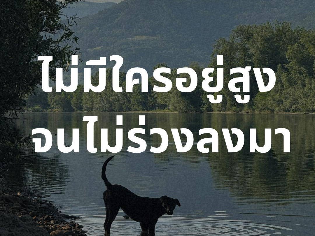ไม่มีใครอยู่สูง จนไม่ร่วงลงมา